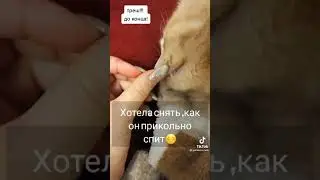 😂😭