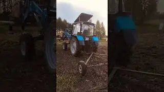 сеем траву руками 6 га #популярное #сенокос
