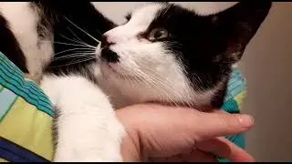 СЧАСТЛИВЧИК!!!
