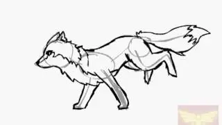 Lobo corriendo-proceso