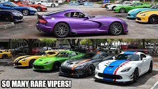 100+ Vipers In Miami - Many 1 of 1's - National Viper Meet!