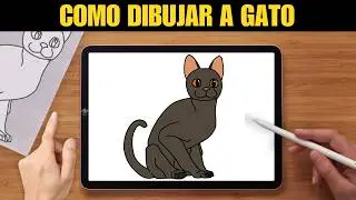 Como Dibujar Gato | Flow | Paso a Paso