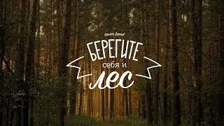 Кавер-группа Берегите Себя и Лес - 2017