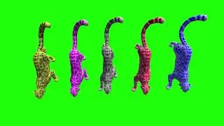 Leopard Run U Green Screen Video Footage Free 