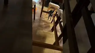拿个手机绳自娱自乐的小姑娘！