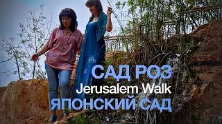 Jerusalem Walk. Сад Роз, Японский сад