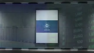 🚨 Cardano Ekibi ve Yönetişimi: Kimler ADA'yı Yönetiyor?