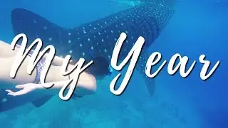 My Year // 2017