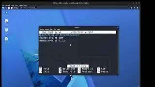 How I fixed my DNS issue on my Kali Virtual Machine