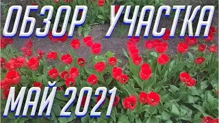 СЕЗОН ОТКРЫТ!!!  ВСХОДЫ ПОШЛИ!!! ОБЗОР ОГОРОДА МАЙ 2021!!!
