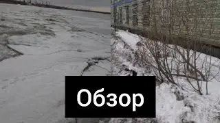 краткий обзор #23лесозовод весна 🌿🍃