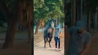 Zuljinah Shah-Zaman Badshah Faisalabad #zuljanah #shortsvideo #viralvideo #youtubeshorts
