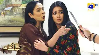 Shani Ne Di Alizeh Ko Dhamki || Baylagaam || Har Pal Geo