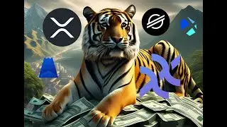 THIS IS THE TIME?! $XRP $XLM $SHX $XX $VELO $HBAR $ALGO $XTZ