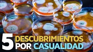 5 Increíbles descubrimientos fruto de la casualidad 💡