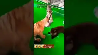 никто кроме себя тебя не защитит