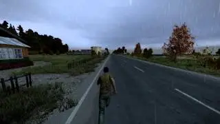 DayZ Everyday Fun!