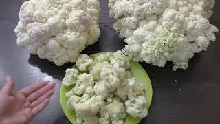 Заморозка цветной капусты на зиму ! Как избавиться от неприятного запаха !