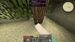 Minecraft Forever Stranded Folge 1