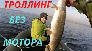 Щука! Поймай меня - если сможешь!№52