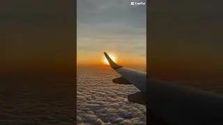 Flying is beautiful 🤩 #planes #aviation #avgeek #beautiful