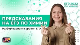 Предсказания на ЕГЭ по химии 2022 | Разбор варианта уровня ЕГЭ | ЕГЭ Химия 2022