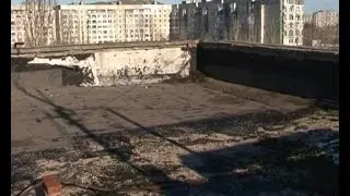 На крыше жилого дома скоро начнут расти грибы