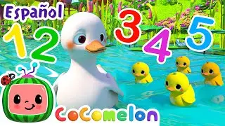 Cinco Patitos | Canciones Infantiles | Caricaturas para bebes | CoComelon en Español