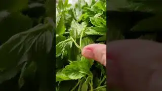В кадре СНЫТЬ... 🙏🙏🙏❤️❤️❤️