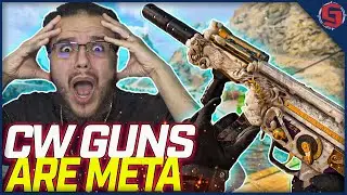 COLD WAR GUNS ARE THE WAY FORWARD! CW MP5 FULL BUILD! (Warzone)