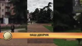 Видео со смартфона .Урок 10.