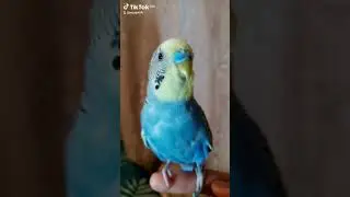когда врываешься в жизнь!