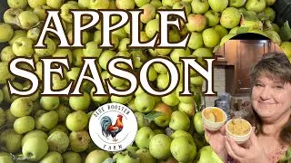 4 Ways We Preserve and Use Our Apples \Apple Dip\Caramel Sauce\Canning Applesauce Safely\Dehydrating