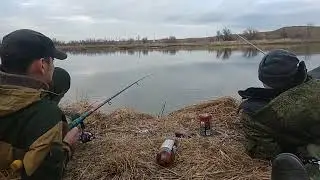Где пиво?