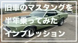 【VLOG】旧車のマスタングを半年乗ってみたインプレッション(1969 Ford Mustang SportsRoof)