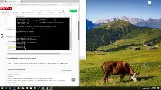 Zabbix 4.4 installation on Ubuntu 18.04 for Monitoring Servers Video 1 of  2