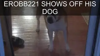EROBB221 SHOWS OFF HIS DOG