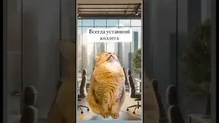 Есть несколько типов коллег…