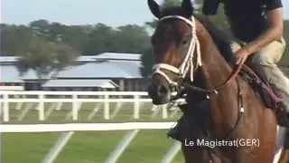 LeMagistrat_Magi_BR
