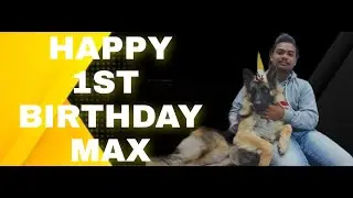 MAX(GERMAN SHEPHERD) 1ST BIRTHDAY