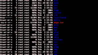 Using Tar Option in Red Hat Linux