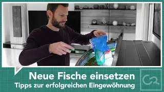 Juwel Vision 450 – Neue Fische einsetzen