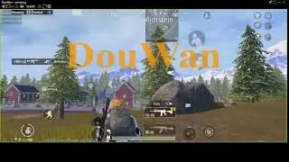 Tribe musician Live Stream