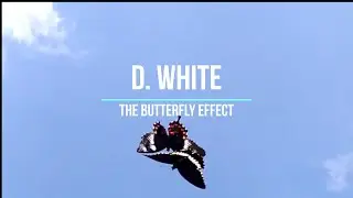 D.White & DimaD. - The butterfly effect (русский перевод)