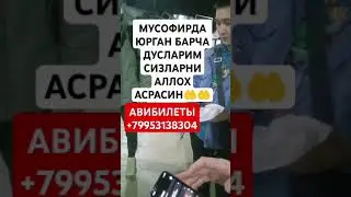 АВИБИЛЕТЫ +79953138304#tiktok #automobile #youtube #топ