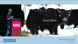 DevOpsDays Chicago 2019 - Jason Yee - Ignite: How to shave a yak