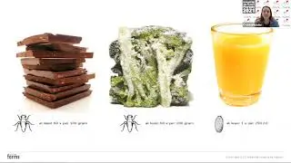 A can of worms worth opening: Cristina Michelini
