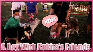 KUKITA MEETS NEW FRIENDS! (Pinagkaguluhan siya!)