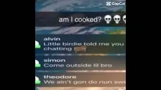 Am I cooked?