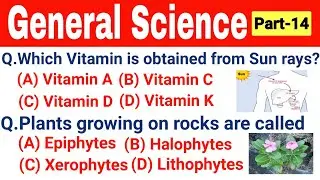 General science multiple choice question answer || General science MCQ || Competitive exams